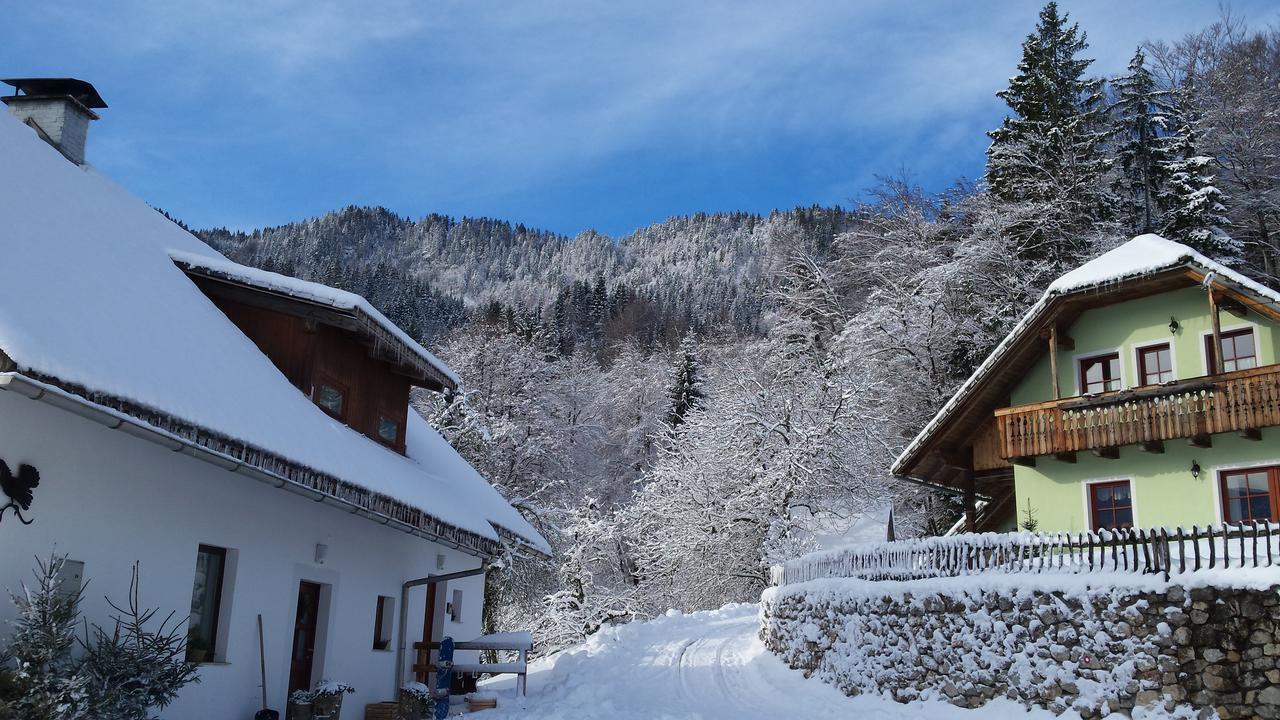 Vaznik Farm House Apartments Μπλεντ Εξωτερικό φωτογραφία