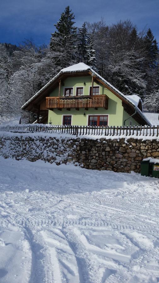 Vaznik Farm House Apartments Μπλεντ Εξωτερικό φωτογραφία