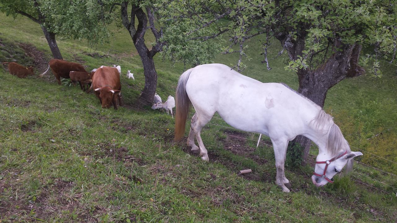 Vaznik Farm House Apartments Μπλεντ Εξωτερικό φωτογραφία